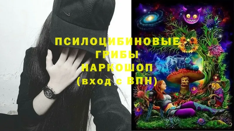 Псилоцибиновые грибы Magic Shrooms Ишим